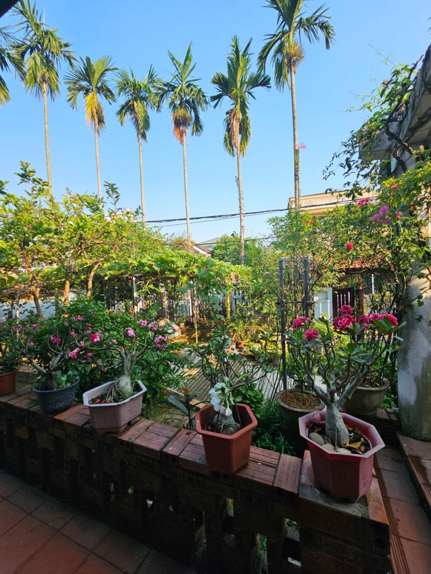 Rose Homestay Hue Thon Kim Long Dış mekan fotoğraf